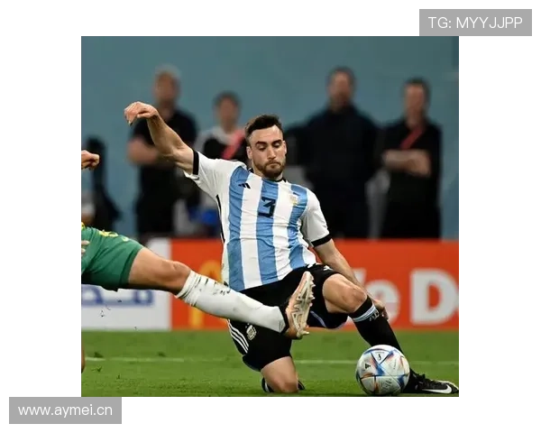 塔利亚菲科法国联赛